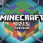 Écran montrant monde serveur Minecraft 1.21.5